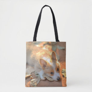 Kutest Baby Animals Shy Corgi Draagtas