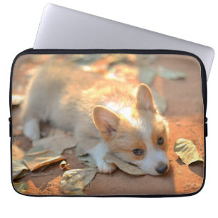 Kutest Baby Animals Shy Corgi Laptop Sleeve