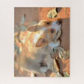 Kutest Baby Animals | Shy Corgi Legpuzzel (Verticaal)