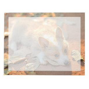 Kutest Baby Animals Shy Corgi Notitieblok