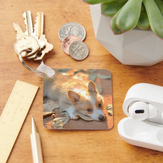 Kutest Baby Animals | Shy Corgi Sleutelhanger (Bureau)