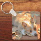 Kutest Baby Animals | Shy Corgi Sleutelhanger (Voorkant)