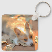 Kutest Baby Animals | Shy Corgi Sleutelhanger (Achterkant)