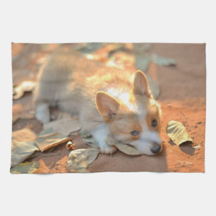 Kutest Baby Animals   Shy Corgi Theedoek