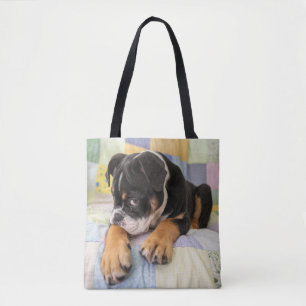 Kutest Baby Animals   Shy Old English Bulldog Draagtas