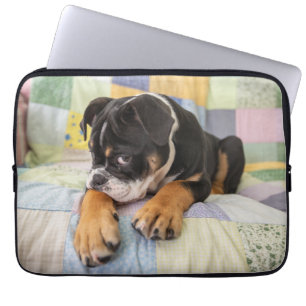 Kutest Baby Animals Shy Old English Bulldog Laptop Sleeve