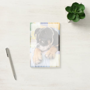 Kutest Baby Animals   Shy Old English Bulldog Post-it® Notes