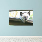 Kutest Baby Animals | Siamese Kitten 2 Canvas Afdruk (Insitu (Houten vloer))