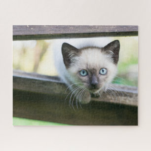 Kutest Baby Animals Siamese Kitten 2 Legpuzzel