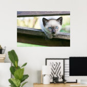 Kutest Baby Animals | Siamese Kitten 2 Poster (Thuiskantoor)