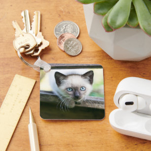 Kutest Baby Animals Siamese Kitten 2 Sleutelhanger
