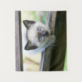 Kutest Baby Animals | Siamese Kitten 2 Wandkleed (Voorkant)