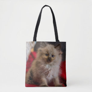 Kutest Baby Animals   Siamese Kitten Draagtas