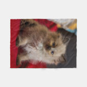 Kutest Baby Animals | Siamese Kitten Fleece Deken (Voorkant (Horizontaal))