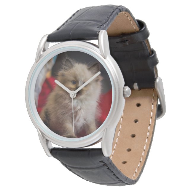 Kutest Baby Animals | Siamese Kitten Horloge (Gekanteld)