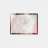 Kutest Baby Animals | Siamese Kitten Post-it® Notes (Voorkant)