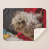 Kutest Baby Animals | Siamese Kitten Sherpa Deken (Voorkant (horizontaal))