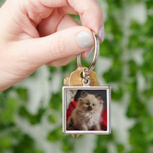Kutest Baby Animals Siamese Kitten Sleutelhanger