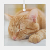 Kutest Baby Animals | Slaapgember Glas Ornament (Voorkant)