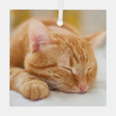 Kutest Baby Animals | Slaapgember Glas Ornament (Achterkant)