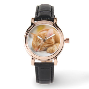 Kutest Baby Animals   Slaapgember Horloge