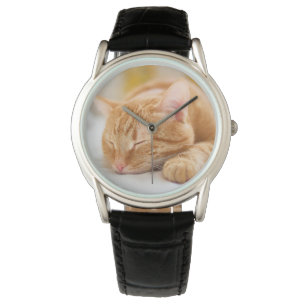 Kutest Baby Animals   Slaapgember Horloge