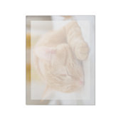 Kutest Baby Animals | Slaapgember Notitieblok (Gedraaid)