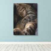 Kutest Baby Animals | Slaapgraatkatje Canvas Afdruk (Insitu (Houten vloer))