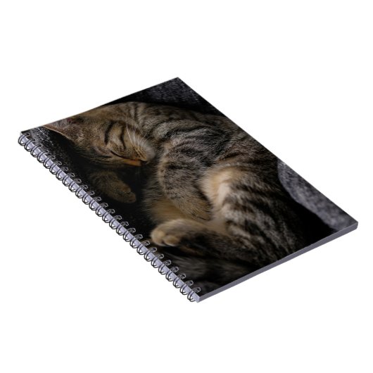 Kutest Baby Animals | Slaapgraatkatje Notitieboek (Rechterzijde)