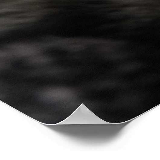 Kutest Baby Animals | Slaapgraatkatje Poster (Hoek)