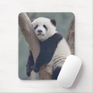 Kutest Baby Animals   Slaapstand Baby Panda-Beer Muismat