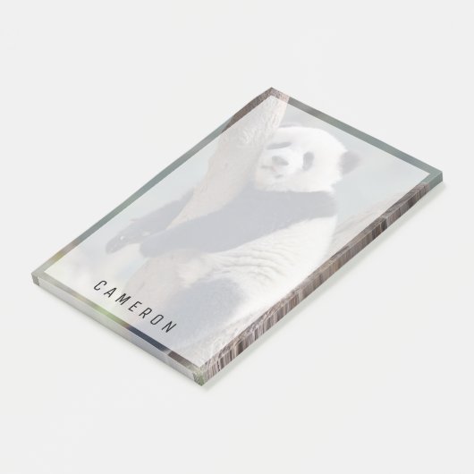 Kutest Baby Animals | Slaapstand Baby Panda-Beer Post-it® Notes (Schuin)