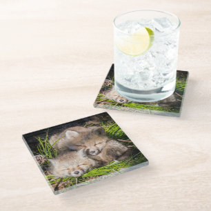 Kutest Baby Animals Slaapstand van de Baby Red F Glazen Onderzetter