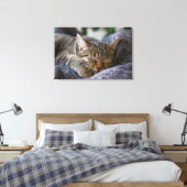 Kutest Baby Animals | Slapen van Tabby Kitten Canvas Afdruk (Insitu (Slaapkamer))