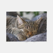Kutest Baby Animals | Slapen van Tabby Kitten Fleece Deken (Voorkant (Horizontaal))