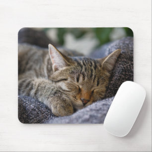 Kutest Baby Animals Slapen van Tabby Kitten Muismat