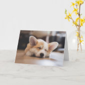 Kutest Baby Animals | Sleepy Corgi Kaart (Gele Bloem)