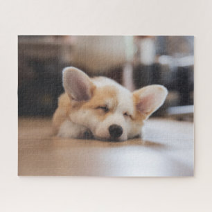 Kutest Baby Animals   Sleepy Corgi Legpuzzel