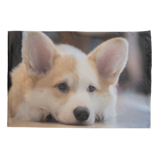 Kutest Baby Animals | Sleepy Corgi Puppy Kussensloop (Achterkant)