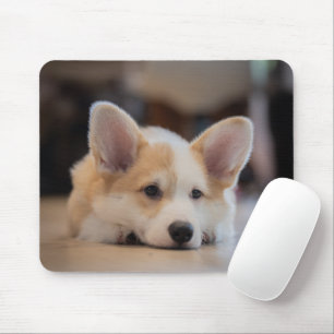 Kutest Baby Animals Sleepy Corgi Puppy Muismat