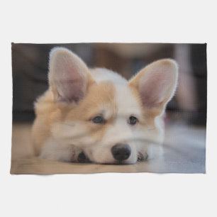 Kutest Baby Animals   Sleepy Corgi Puppy Theedoek