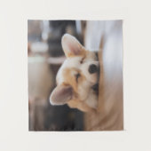 Kutest Baby Animals | Sleepy Corgi Wandkleed (Voorkant)