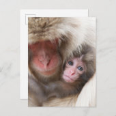 Kutest Baby Animals | Sneeuwaap Briefkaart (Voorkant / Achterkant)