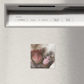 Kutest Baby Animals | Sneeuwaap Magneet (Insitu (Vaatwasser))