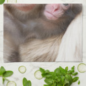 Kutest Baby Animals | Sneeuwaap Theedoek (Gevouwen)