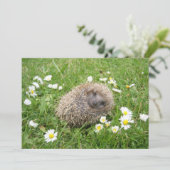 Kutest Baby Animals | Spaanse egel Bedankkaart (Staand voorkant)