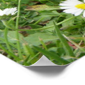 Kutest Baby Animals | Spaanse egel Poster (Hoek)