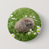 Kutest Baby Animals | Spaanse egel Ronde Button 5,7 Cm (Voorkant)