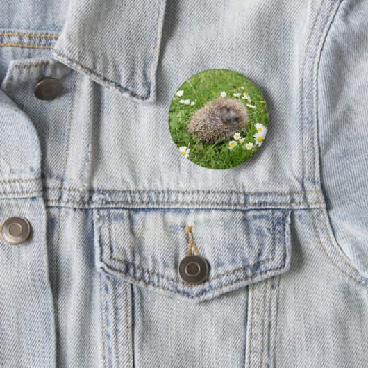 Kutest Baby Animals | Spaanse egel Ronde Button 5,7 Cm (In situ)