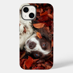Kutest Baby Animals   Spaniel in najaarsbladeren Case-Mate iPhone 14 Hoesje